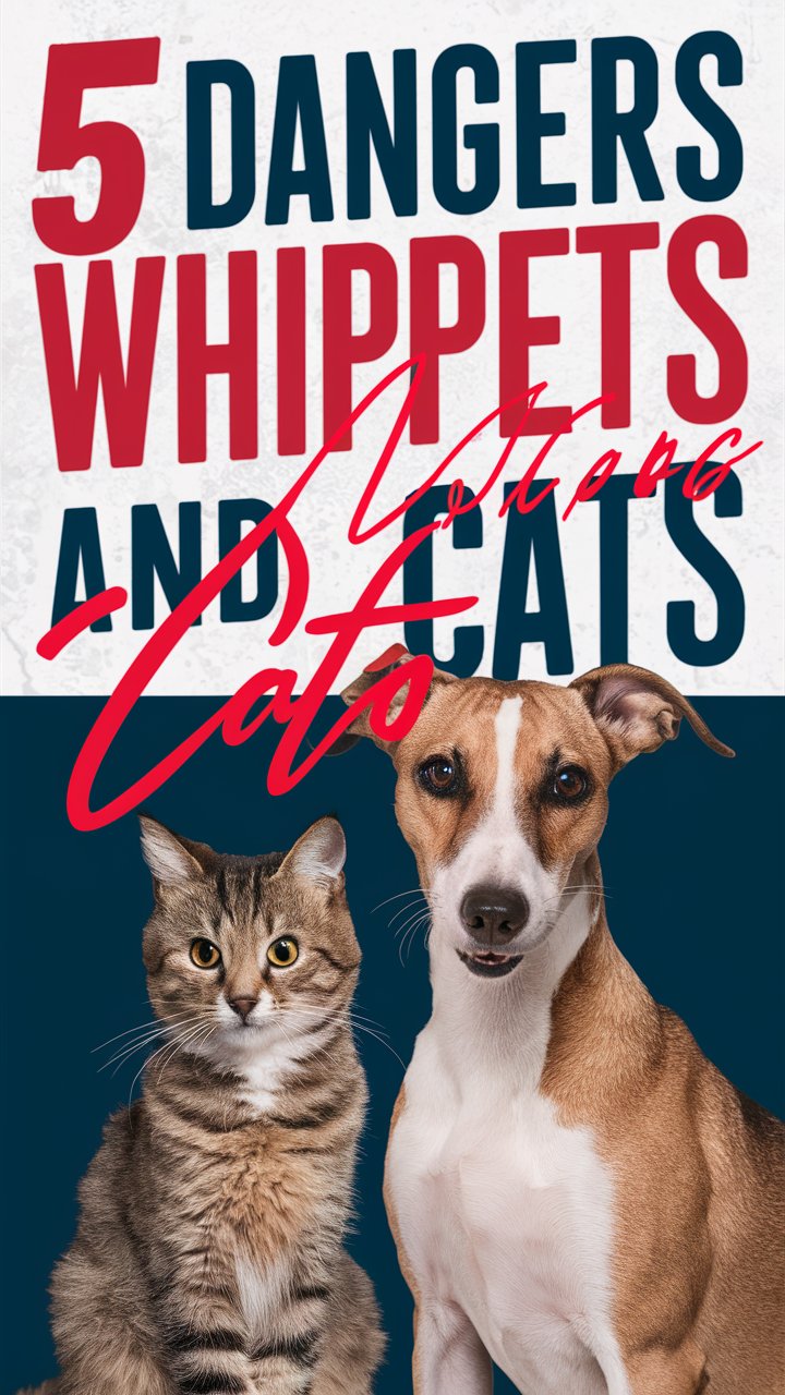 Can Whippets Live With Cats? 10 Proven Tips + 5 Serious Risks