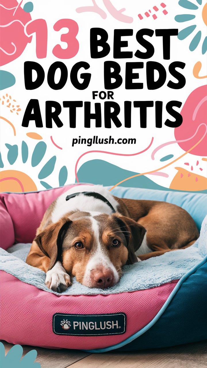 13 Best Dog Beds for Arthritis (2025 Ultimate Comfort Guide for Senior Dogs)