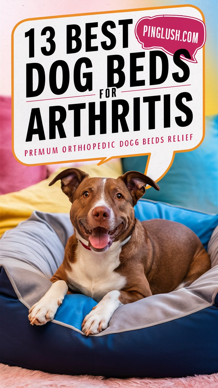 Will A Dog Use Another Dog’s Bed? (Expert Guide 2025)